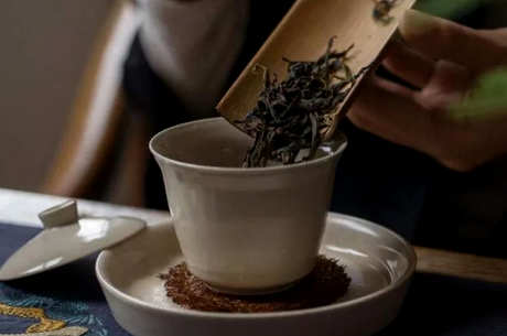 冬茶的特点