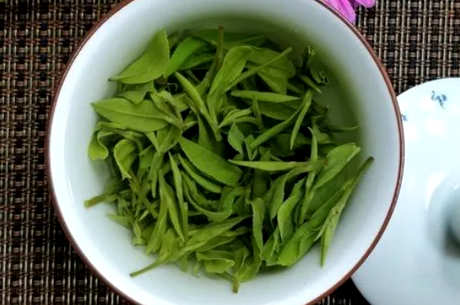 冬茶有哪些品种？