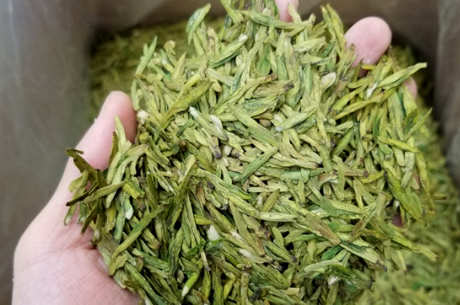 龙井茶是黄还是绿？