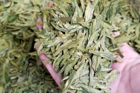 龙井茶是黄还是绿？