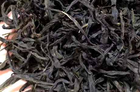 蜜兰香单杉属于什么茶？