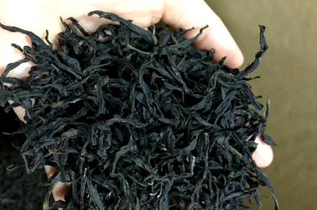 蜜兰香单杉属于什么茶？