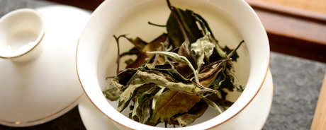 什么样的茶属于白茶？