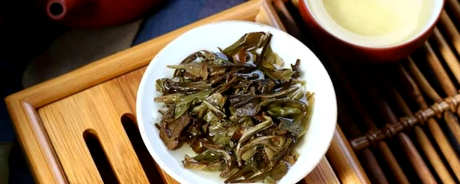 怎样泡白茶