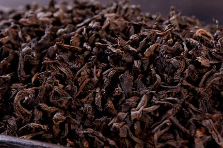 云南产什么茶？