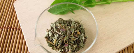 蒲公英能晒干泡茶吗？