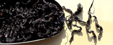 如何制作杜仲茶？