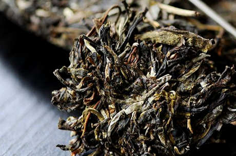 南迫古树茶的特点