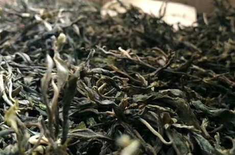 南迫古树茶的特点