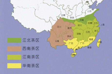 中国各种茶叶的产地