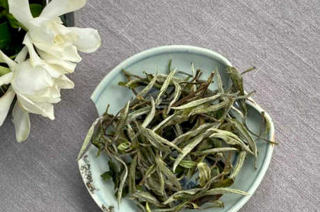 什么季节适合喝白茶？