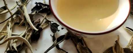 白茶属于哪一类？