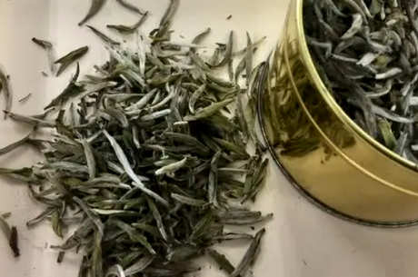 白茶属于哪一类？