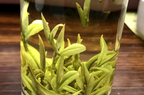 稀有白茶是什么茶？