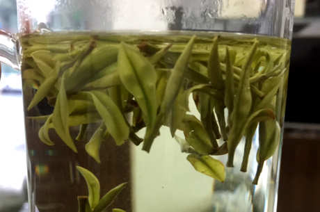 稀有白茶是什么茶？