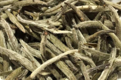 广西白茶是什么茶？
