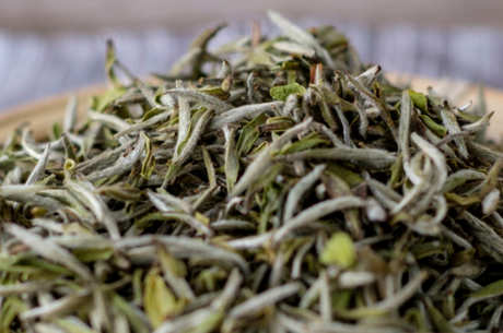 广西白茶是什么茶？