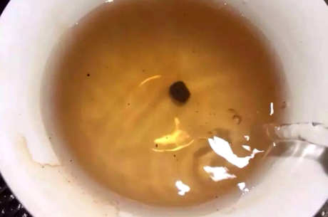 茶膏怎么喝
