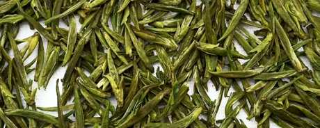 长兴紫笋茶产地