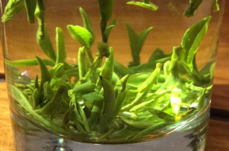 长兴紫笋茶产地