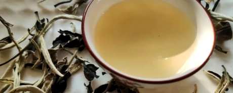 制作福鼎白茶的正确方法