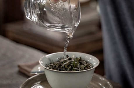 制作福鼎白茶的正确方法