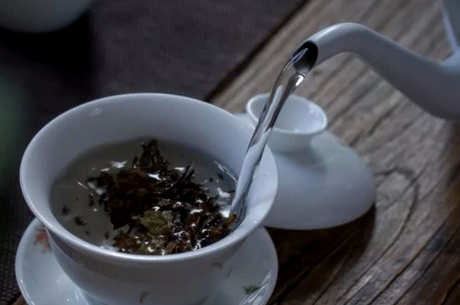 如何喝白茶是正确的方法