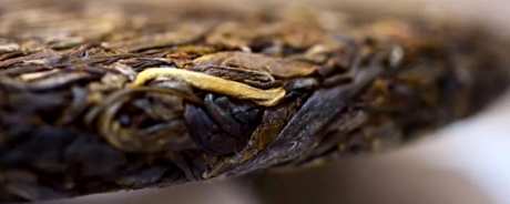 什么是普洱名茶？