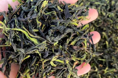 鸭屎香茶的起源