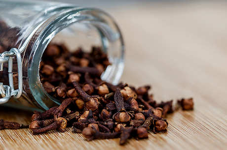 丁香茶和丁香茶的区别