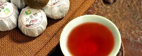 小青柑属于什么茶？
