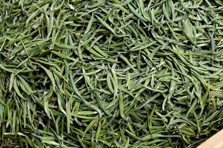 巴山雀舌茶产地