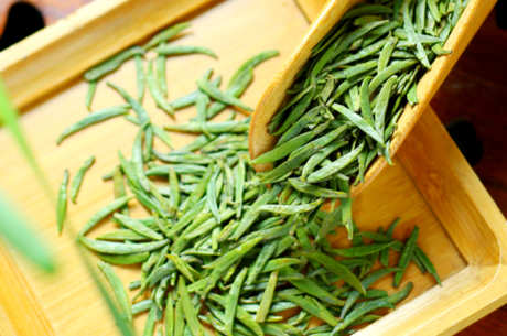 巴山雀舌茶产地
