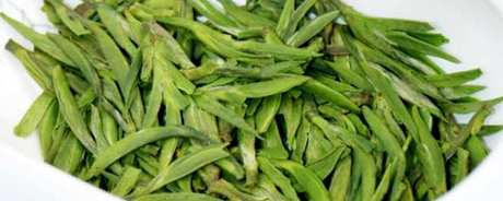 宁强雀舌茶的产地在哪里？