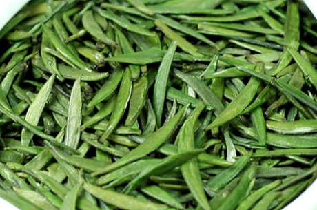 宁强雀舌茶的产地在哪里？