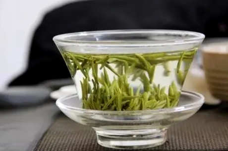 宁强雀舌茶的产地在哪里？