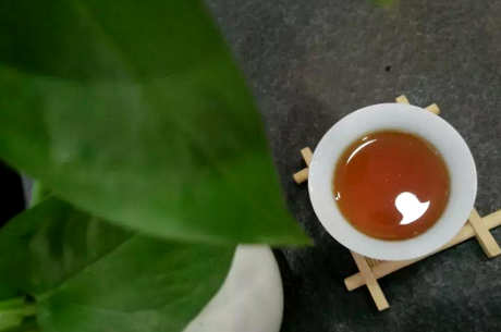 什么是小布岩茶？
