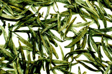 秦巴雾属于什么茶？