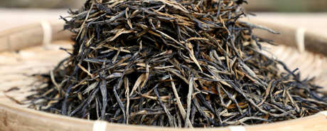 滇红金芽属于什么茶？