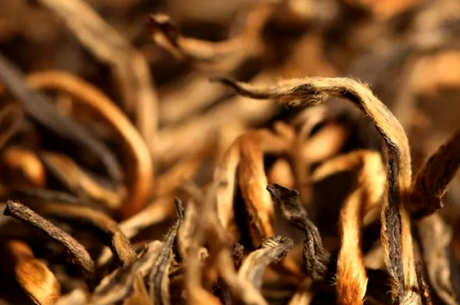 滇红金芽属于什么茶？
