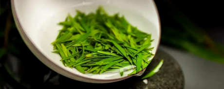 峨蕊是什么茶？