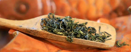 龙岩斜背茶是绿茶吗？