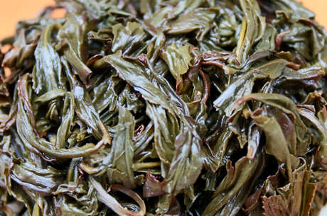 龙岩斜背茶是绿茶吗？