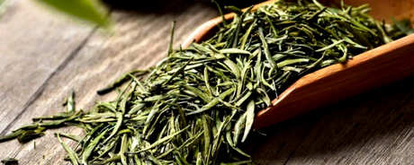 什么茶是瑞草魁？