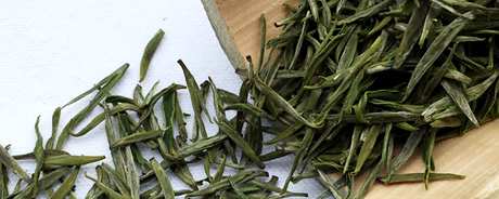 长兴紫笋茶属于什么茶？