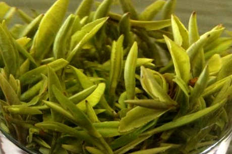长兴紫笋茶属于什么茶？