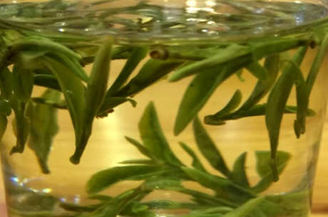 长兴紫笋茶属于什么茶？