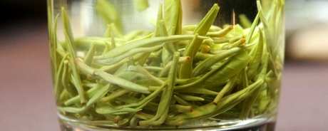 保靖黄金茶属于什么茶？