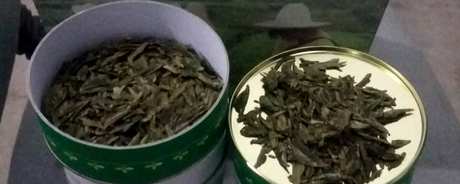 宝红茶属于什么茶？