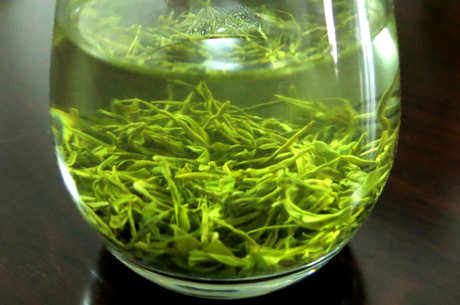 英山云雾茶属于什么茶？